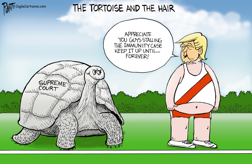 THE TORTOISE AND THE HAIR