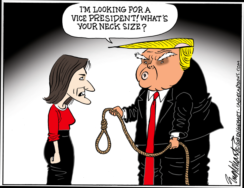 TRUMP LOOKING FOR VP