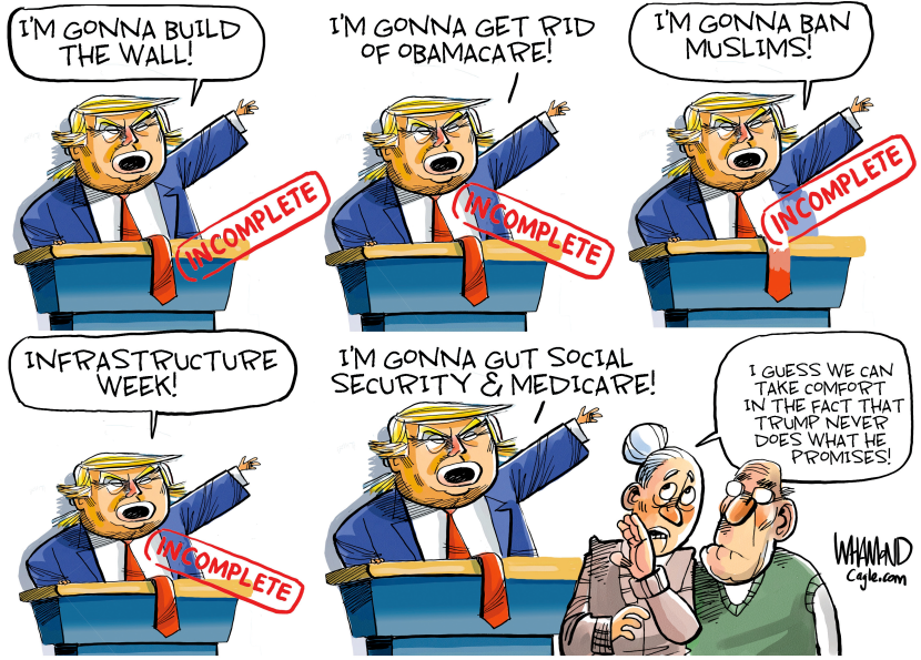 TRUMP PROMISES