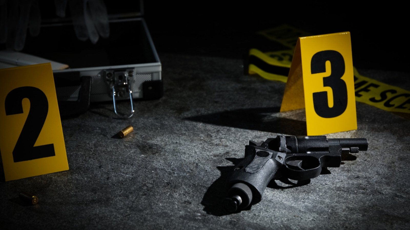 NYC Major Crime Rates Surge to Highest in Two Decades