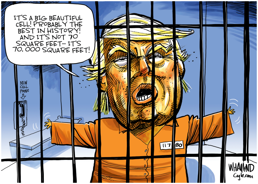 TRUMP GUILTY